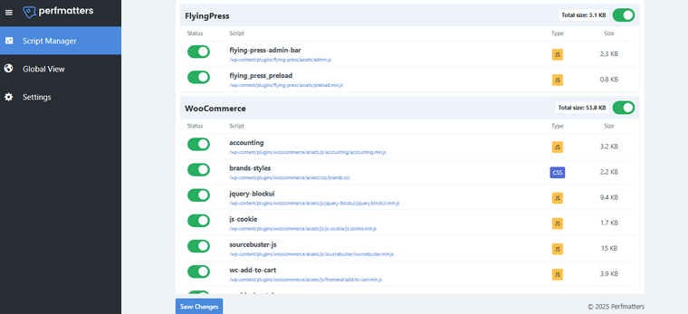 Perfmatters Script Manager Perfmatters Script Manager