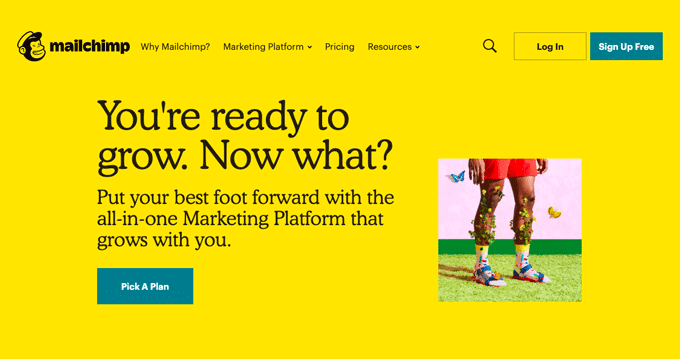 MailChimp most used free email marketing tools MailChimp - Most used free Tools for Digital Marketing