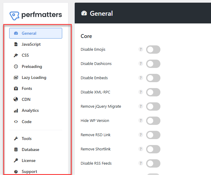 Main Perfmatters Settings Main Perfmatters Settings