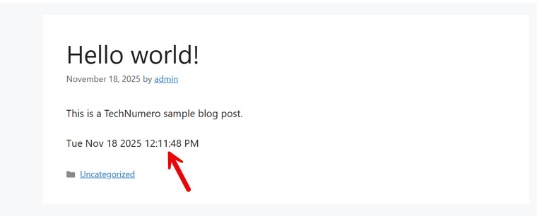 Date and Time Displayed on the Front End